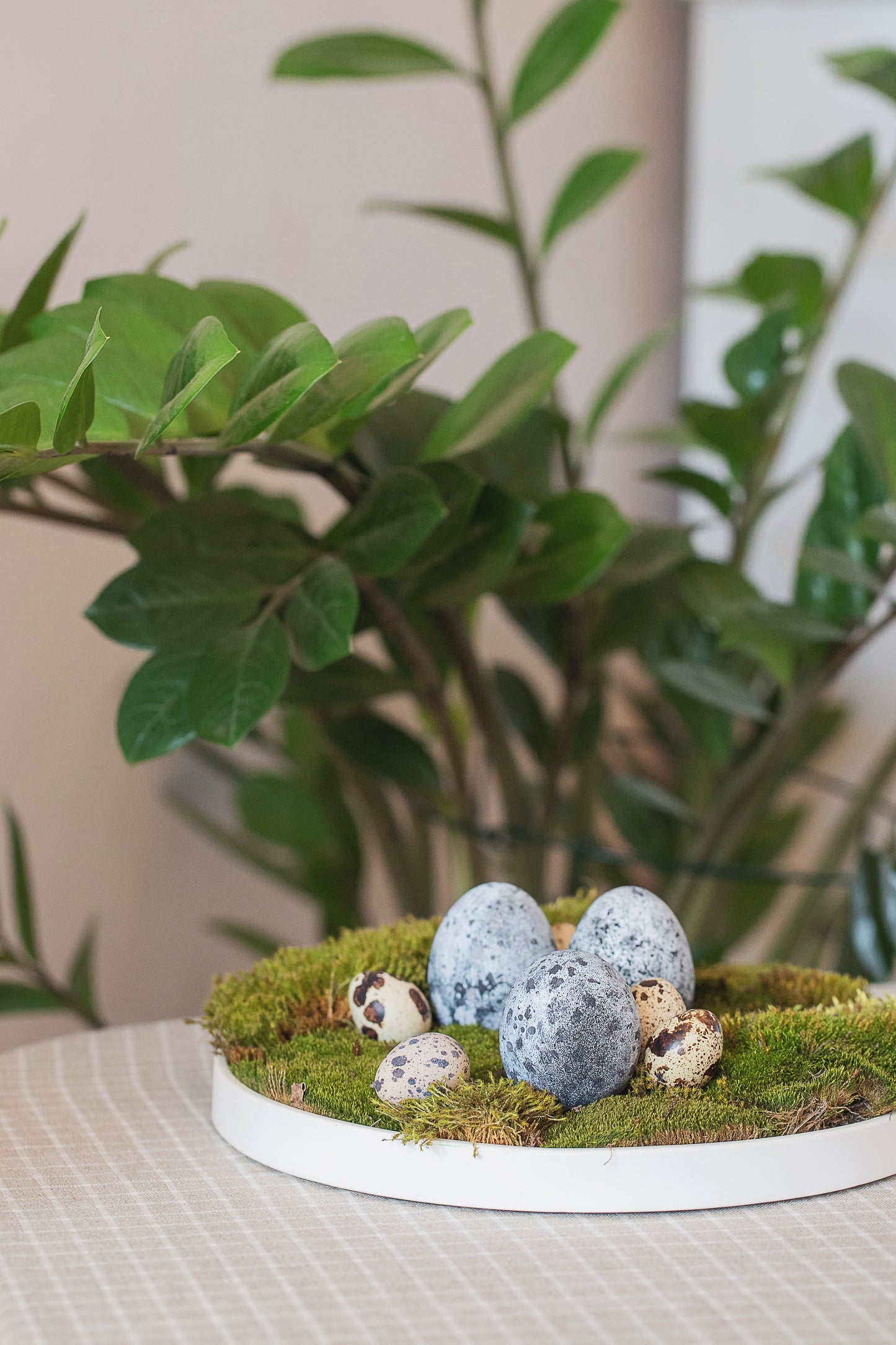 Large Round Gypsum Tray for Perfume Home Fragrances Candles Vase Luxury Home decor Gift for Everyone Home